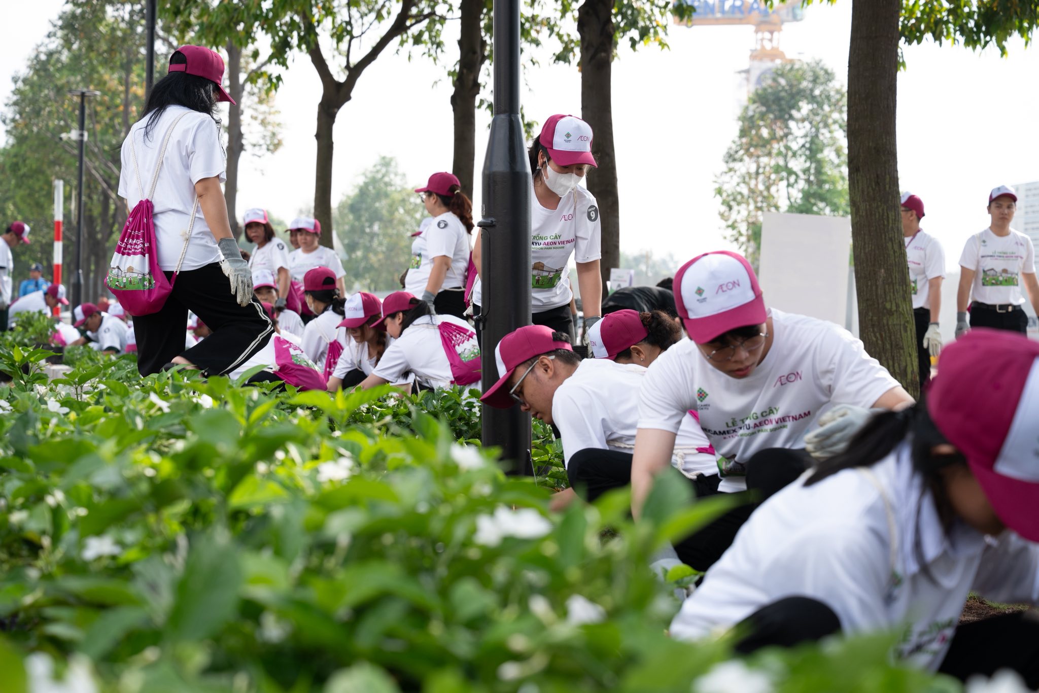 midori park aeon sieu thi thu 2 4